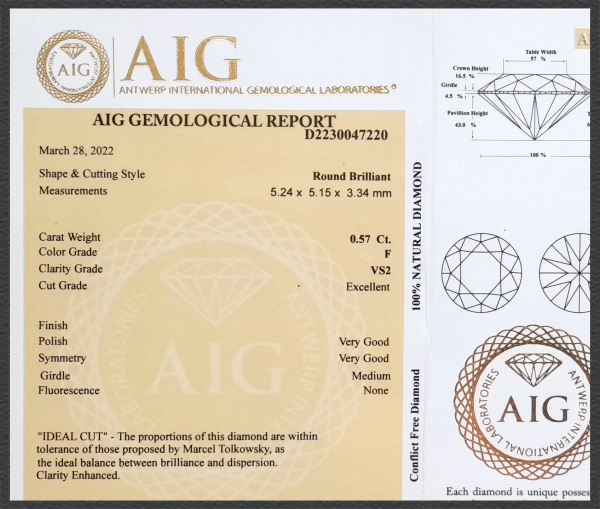 Brillant Anhänger 585 Gold; 0,57ct; AIG Zertifikat